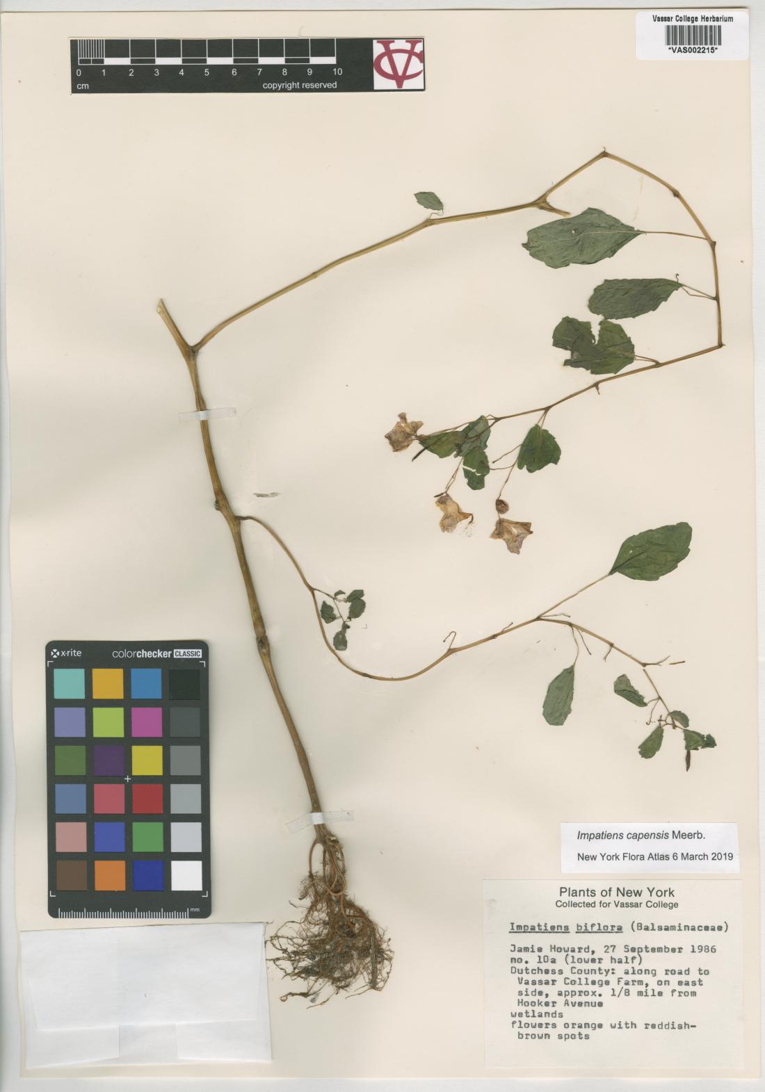 10001-Service File.jpg