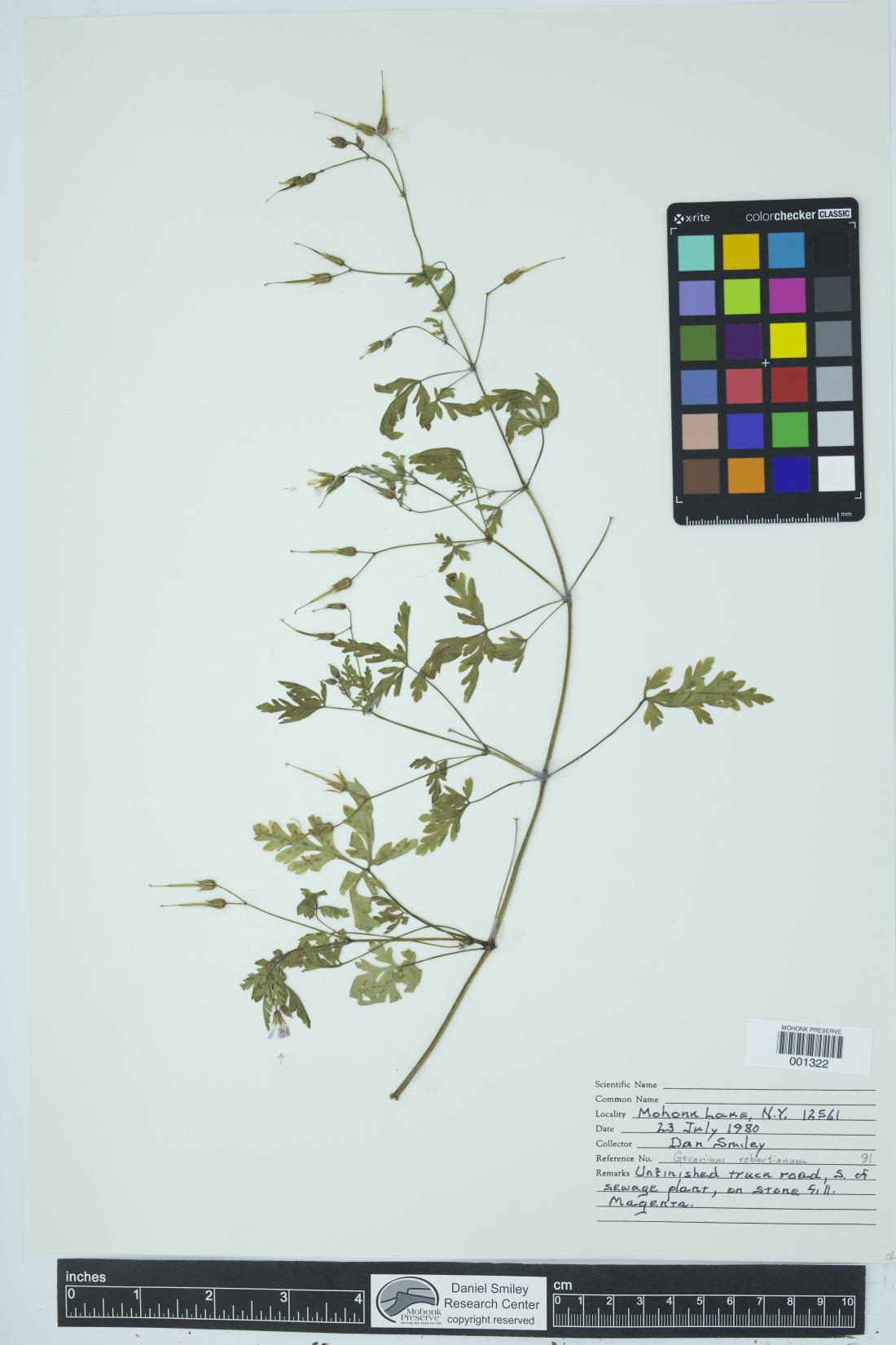 90637-Service File.jpg