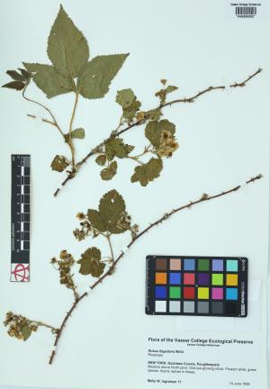 6134-Service File.jpg