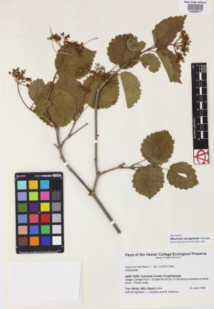 6147-Service File.jpg