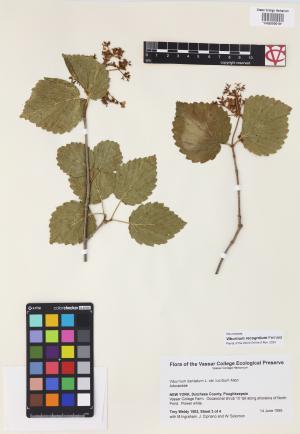 6148-Service File.jpg