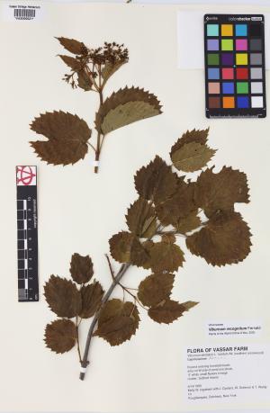 6151-Service File.jpg