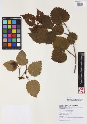 6152-Service File.jpg