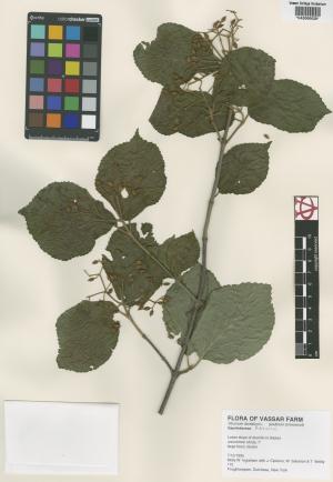 6158-Service File.jpg