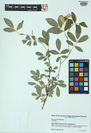 6165-Service File.jpg
