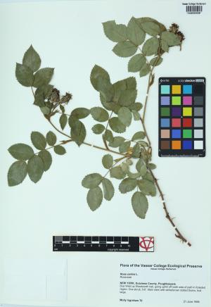 6166-Service File.jpg