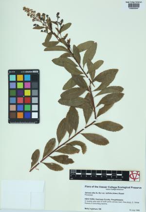 6168-Service File.jpg