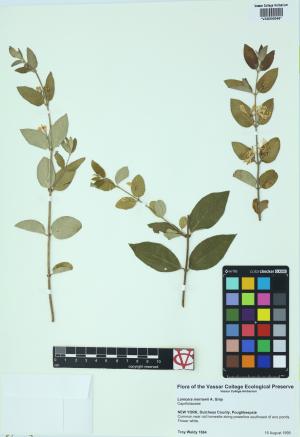 6170-Service File.jpg