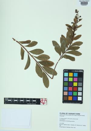 6171-Service File.jpg