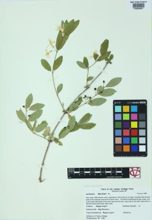 6173-Service File.jpg