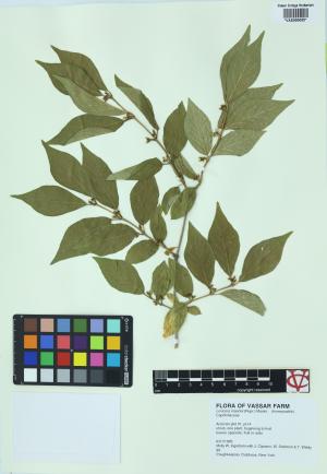 6177-Service File.jpg