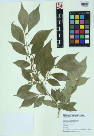 6178-Service File.jpg