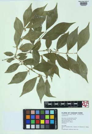 6179-Service File.jpg