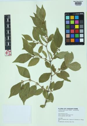 6180-Service File.jpg