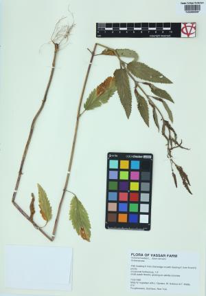 6181-Service File.jpg