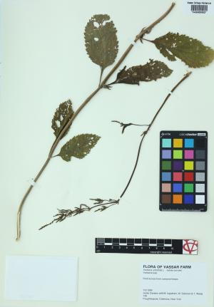 6184-Service File.jpg