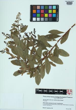 6187-Service File.jpg