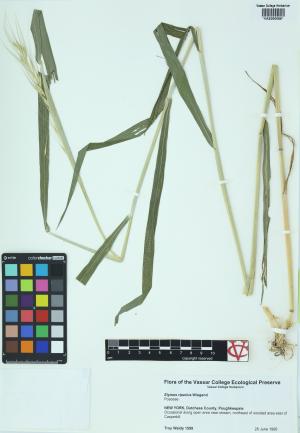 6188-Service File.jpg