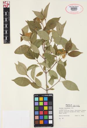 6194-Service File.jpg