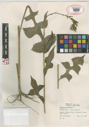 6197-Service File.jpg