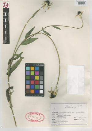 6217-Service File.jpg
