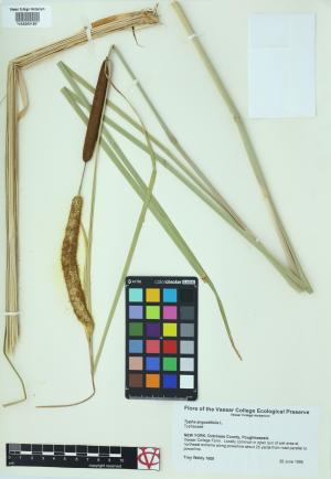 6228-Service File.jpg