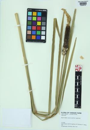 6231-Service File.jpg
