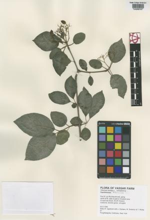 6244-Service File.jpg