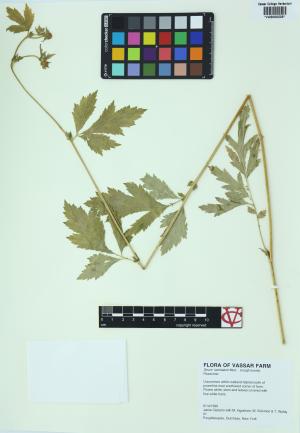 6275-Service File.jpg