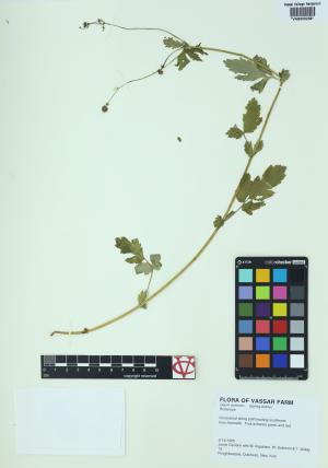 6276-Service File.jpg