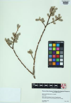 6290-Service File.jpg