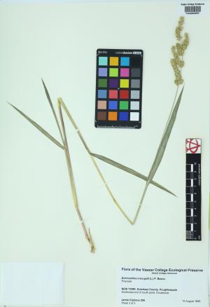 6294-Service File.jpg