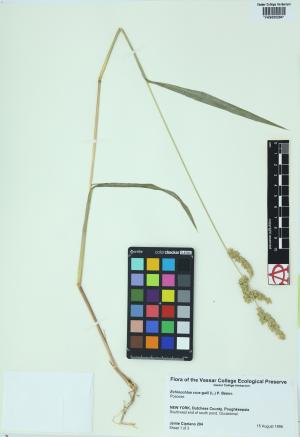 6296-Service File.jpg