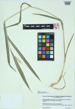 6297-Service File.jpg