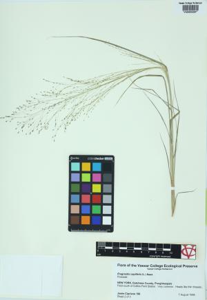 6299-Service File.jpg