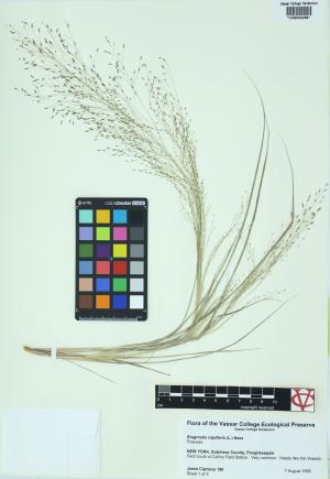 6300-Service File.jpg