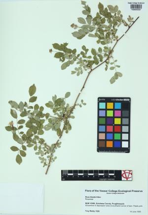 6309-Service File.jpg