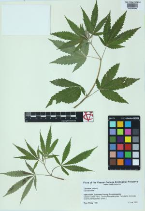 6315-Service File.jpg