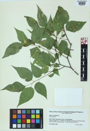 6316-Service File.jpg