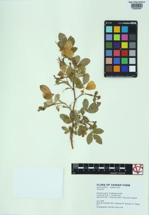 6320-Service File.jpg