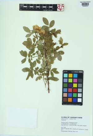 6321-Service File.jpg