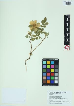 6322-Service File.jpg