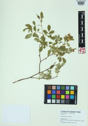 6323-Service File.jpg