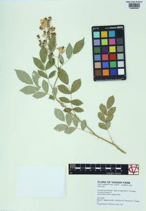 6325-Service File.jpg