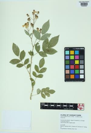 6329-Service File.jpg