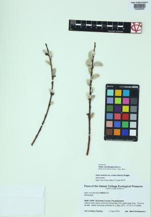 6341-Service File.jpg
