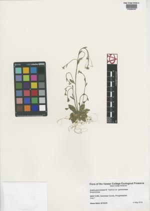 6344-Service File.jpg
