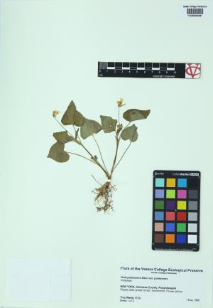 6347-Service File.jpg