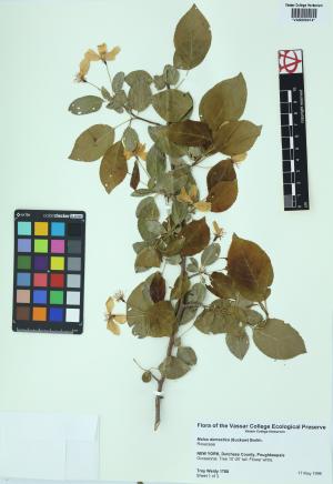 6351-Service File.jpg