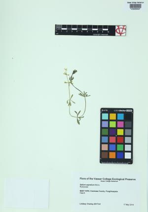 6358-Service File.jpg